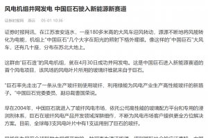 时报：风电机组并网发电 中国88858cc永利驶入新能源新赛道